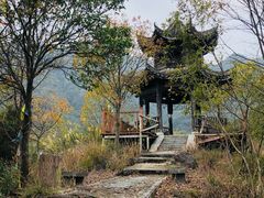 -龙坞茶村