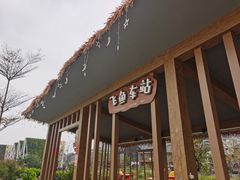 -江门古劳水乡旅游区