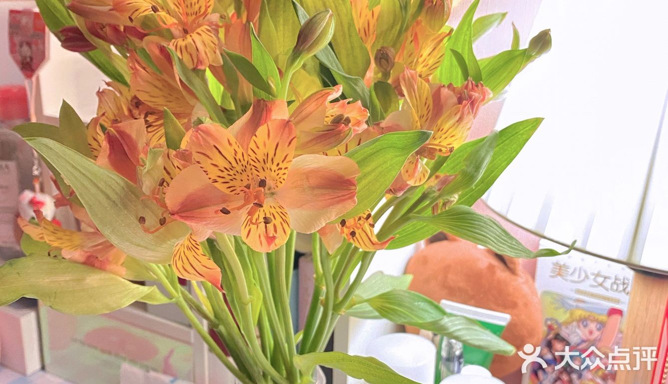 #治愈系.花#