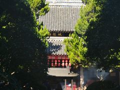 -秋霞圃
