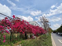 -光明小镇欢乐田园