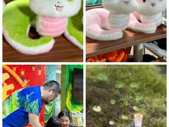 -上海大自然野生昆虫馆(东方明珠·爬宠昆虫探索中心)