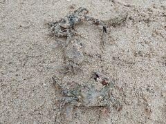 -涠洲岛南湾海洋运动公园