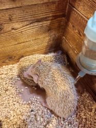 -酷嗒动物文化乐园(cutezoo西溪乐天城店)