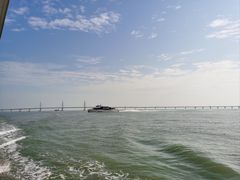 -港珠澳大桥(珠海段)