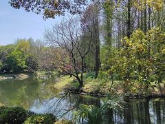 -上海滨江森林公园