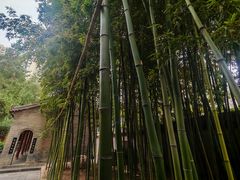 -罔极寺