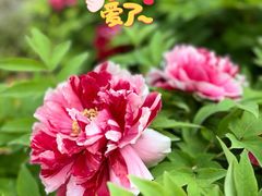 -太阳宫公园