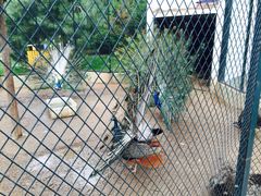 iphone_upload_pic-月亮河温泉度假酒店