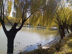 -中国农业博物馆
