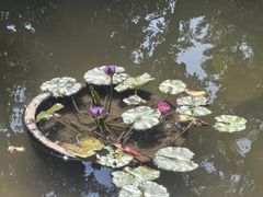 -人民公园(罗湖区)