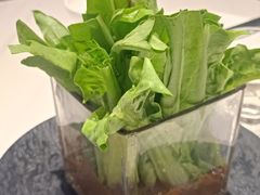 -皇城根·鲁菜济南菜·吊炉烤鸭·炒鸡鱼头(济南旗舰店)