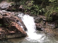 -广州白江湖森林公园