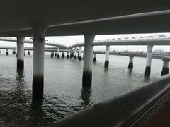 -演武大桥观景平台