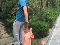 -贮水山儿童公园