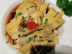 -高第街56号餐厅(泰安万达店)