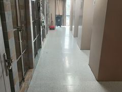 -谐和贝康宠物医院24小时·宠保定点(急重症转诊中心)