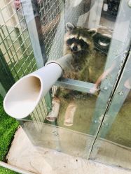 -萌宠亲子动物乐园(槐房万达店)