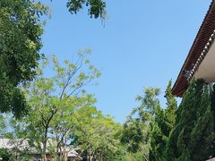 -刘公岛景区