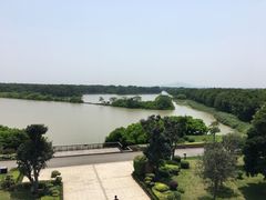 -大湾区中央湿地公园