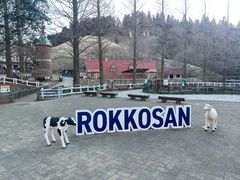-神户市立六甲山牧场
