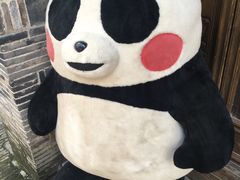 -志龙皇冠吃货椰子铺