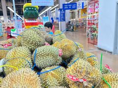 -麦德龙(十里河店)