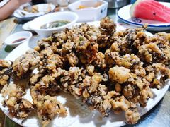 -柴火灶·传统莆田菜·农家乐(莆田总店)