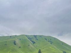 -新疆那拉提国家旅游度假区