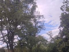 -长广溪湿地公园