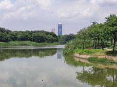 -海珠湖公园