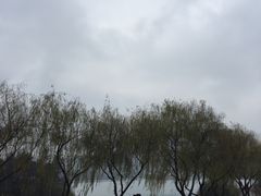 -苏体天云湖运动度假村