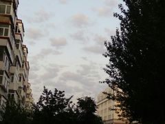 -黑龙江大学