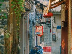 -长洲岛