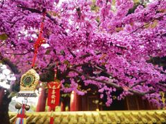 -西安市广仁寺