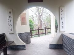 -重庆彩云湖湿地公园