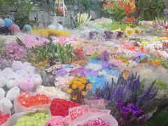 -朝来春花卉市场