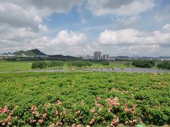 -光明小镇欢乐田园
