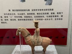 -安阳博物馆