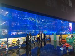 -成都浩海立方海洋公园