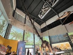 -湖南省地质博物馆