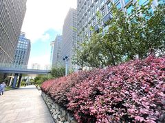 -陆家嘴世纪金融广场