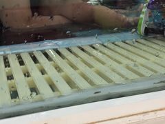 -乐游宝宝亲子游泳(徐汇中心)
