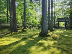 -三千院