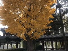 -晋祠公园