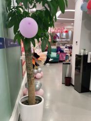 -联合丽格·张菡丽格医疗美容