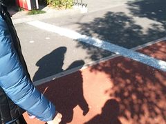 -北外滩百艇汇游艇俱乐部