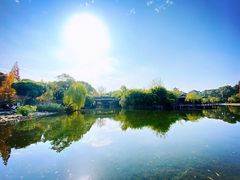 -棠湖公园