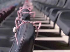 -宝能国际体育演艺中心