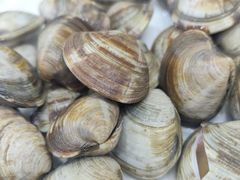 -集杰尚品海鲜烤肉自助餐厅(乳山振华店)